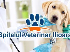 Spitalul Veterinar Ilioara